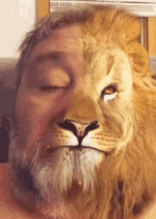 a man with a beard has a lion 's face painted on his face