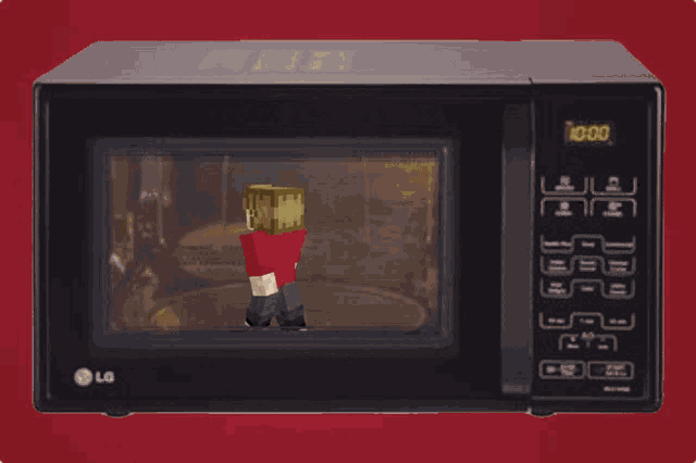 an lg microwave oven with a minecraft character inside