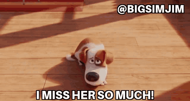a cartoon dog is laying on a wooden floor with the caption i miss her so much