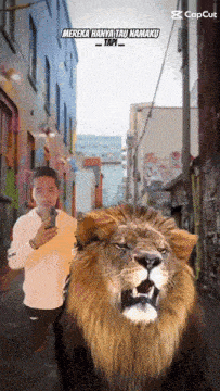 a man taking a picture of a lion with a caption that says mereka hanya tau namaku