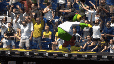Pittsburgh Pirates Pirate Parrot GIF - Pittsburgh Pirates Pirate Parrot Pirates GIFs