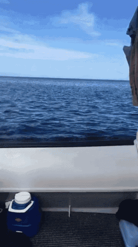 a blue and white cooler sits on the deck of a boat
