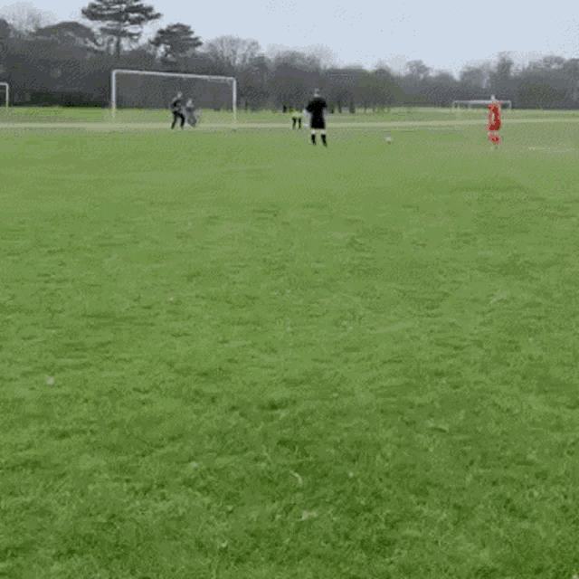 a group of people are playing soccer on a lush green field