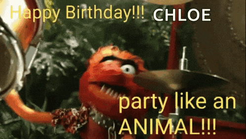 a picture of elmo playing drums with the words " happy birthday chloe party like an animal "