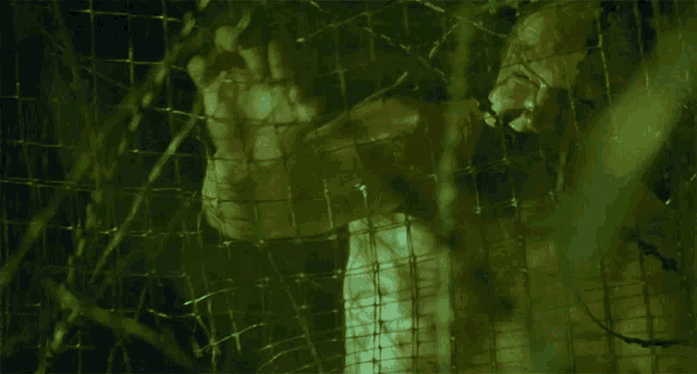 a person behind a barbed wire fence with a green background