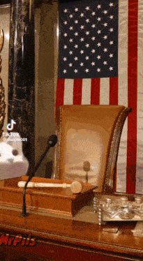 a cat is standing in front of a microphone in front of a large american flag