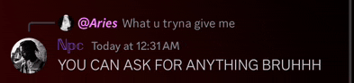 a screenshot of a conversation between aries and npc today at 12:31 am