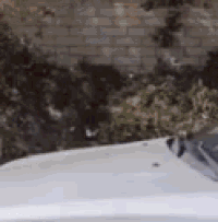 a white car is parked in front of a brick wall in a parking lot .