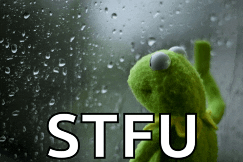 a kermit the frog looking out a window with the word stfu written on it