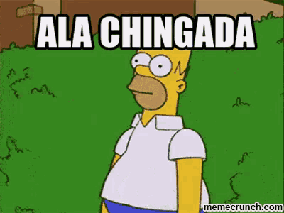 a cartoon of homer simpson standing in a grassy field with the words ala chingada above him .
