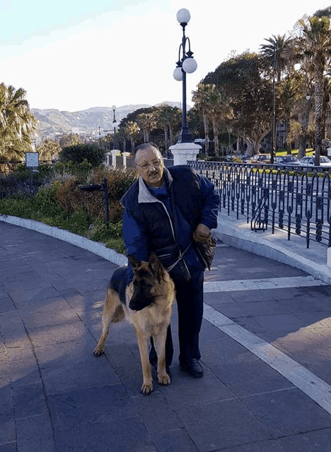 a man walking a german shepherd down a sidewalk