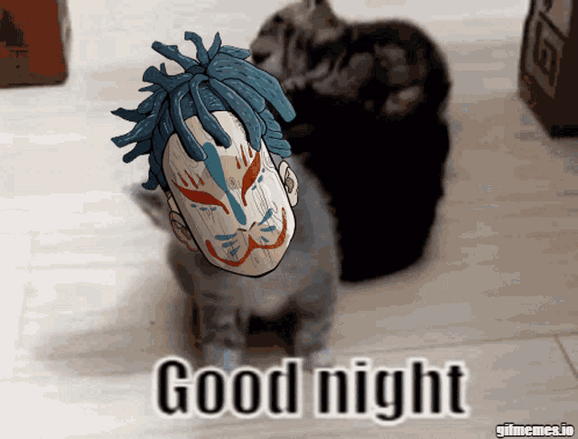 a cat with a mask on its head and the words good night
