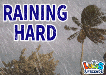 a picture of a palm tree with the words raining hard