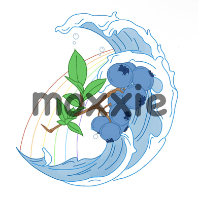 a drawing of a wave with blueberries and a rainbow with the name maxxie