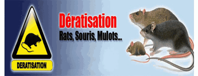 a sign that says " deratisation rats souris mullots "