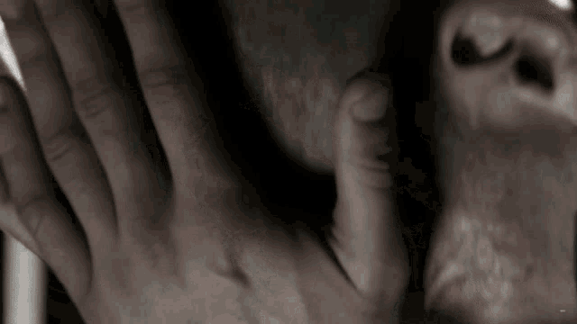a close up of a person 's face with their hand on it