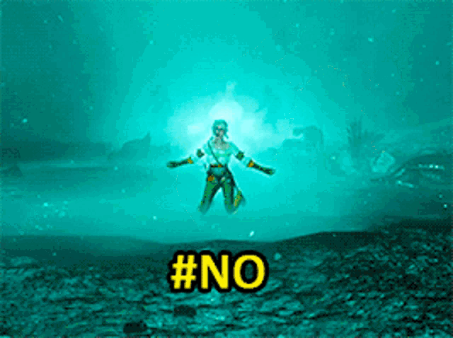 a picture of a person in the water with the hashtag #no on the bottom