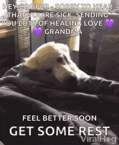 Get Well Soon GIF