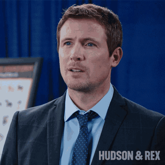 Nods Charlie Hudson GIF - Nods Charlie Hudson Hudson And Rex GIFs