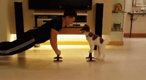 The Best Kind Of Workout Buddy GIF - Dog Cute Work Out GIFs