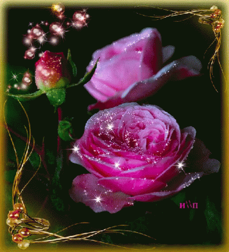 Purple Roses GIF - Purple Roses GIFs