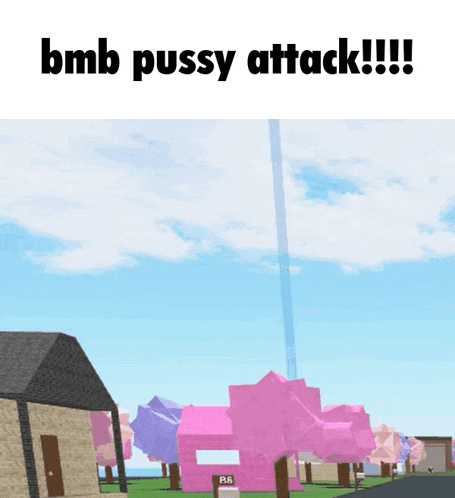 a screenshot of a video game with the words " bmb pussy attack "