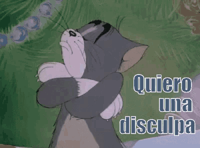 a cartoon cat is hugging another cat with the words quiero una disculpa written on the bottom