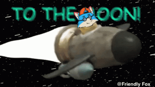 a cartoon of a fox on a rocket with the words " to the moon " above it