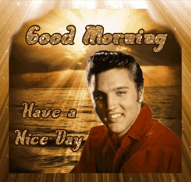 a picture of elvis presley with the words " good morning have a nice day "