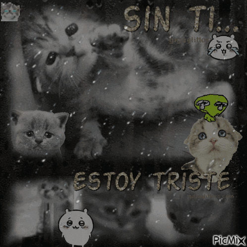 a black and white photo of cats and the words sin ti