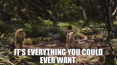 The Lion King Simba GIF - The Lion King Simba Its Everything You Could Ever Want GIFs