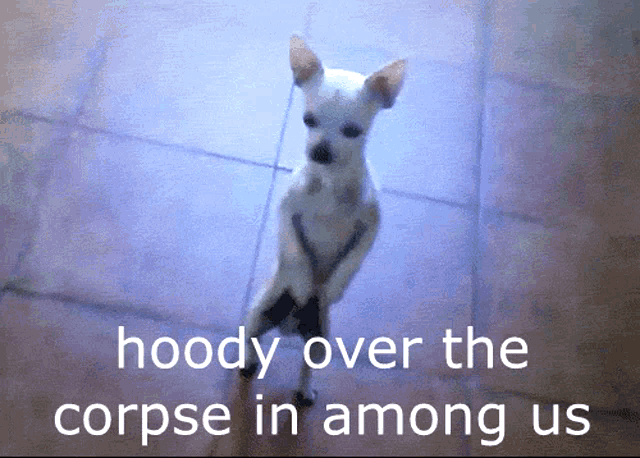 a picture of a dog with the words hoody over the corpse in among us on the bottom