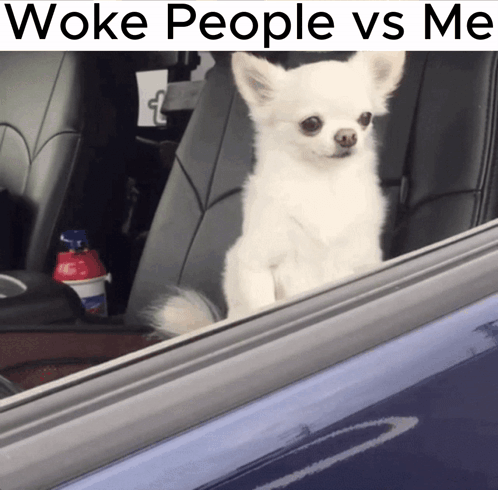 Woke Woke People GIF - Woke Woke People Dog GIFs