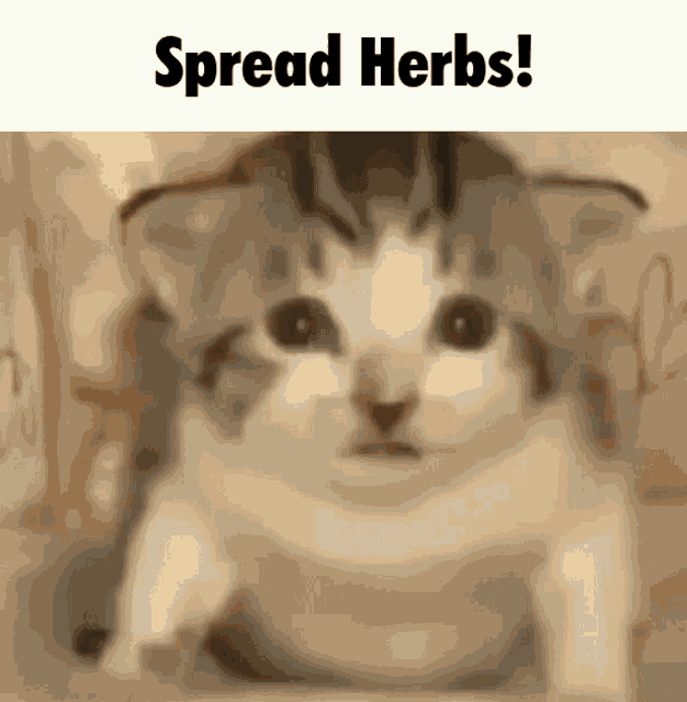 Spread Herbs Cookie Run Puzzleworld GIF - Spread Herbs Cookie Run Puzzleworld Puzzleworld GIFs