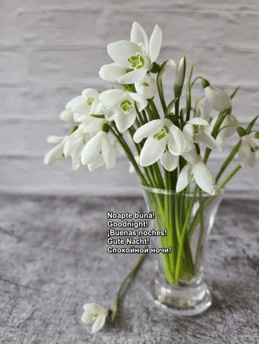 a bouquet of white flowers in a clear vase with the words goodnight written on the bottom