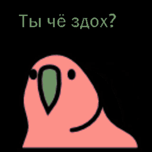 a yellow parrot with a green beak is on a black background with the words " ты че здох " written above it