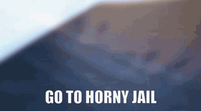 a blurred image with the words go to horny jail written on it