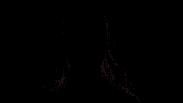 a woman with hair clips in her hair smiles for the camera