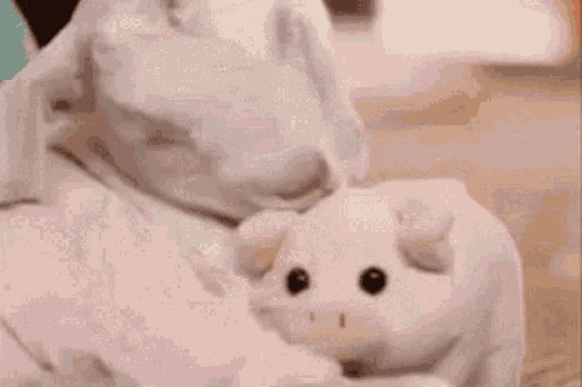 Goat Cute GIF - Goat Cute Stuffed Toy GIFs