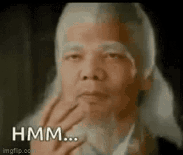 an older man with a beard is holding his hand to his chin and says hmm .