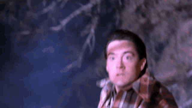 a man in a plaid shirt is standing in the woods at night and making a funny face .