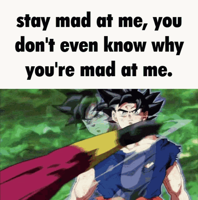 Stay Mad Goku GIF - Stay Mad Goku Kefla GIFs