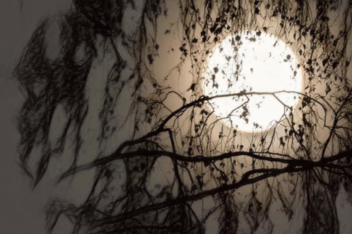 Creepy Moon Light GIF - Creepy Moon Light Art GIFs