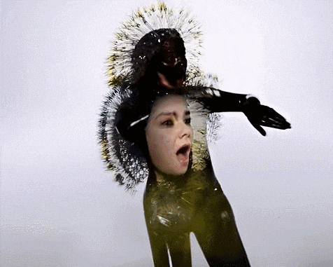 a double exposure of a woman 's face with a bird on her head .