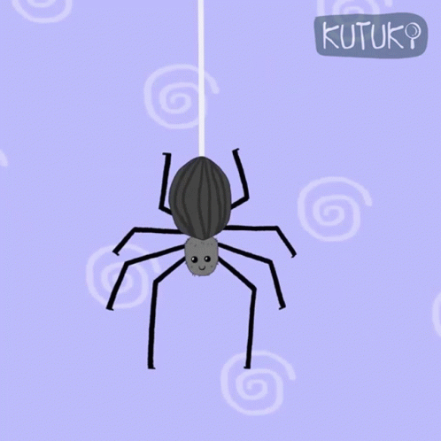 Spider Swinging Kutuki GIF - Spider Swinging Kutuki Hanging Spider GIFs