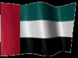 a red white and green flag is waving in the wind on a black background