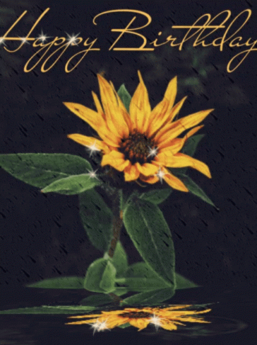 Happy Birthday Sunflower GIF - Happy Birthday Sunflower Flower GIFs