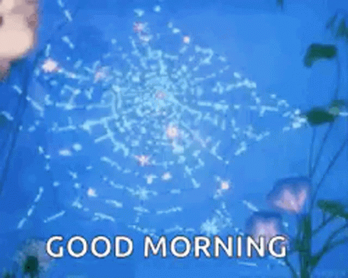 Good Morning Glitter GIF - Good Morning Glitter Spider Web GIFs