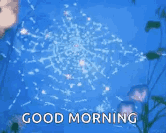 a good morning greeting with fireworks in the background