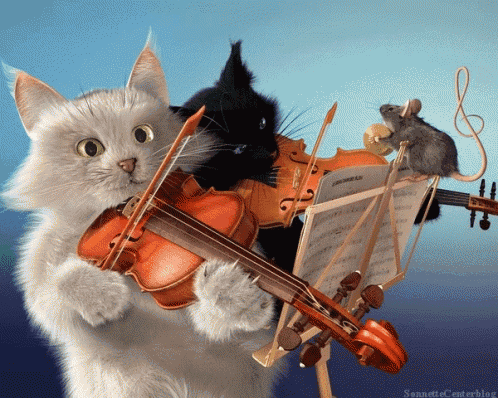 a cat playing a violin with a mouse holding a violin